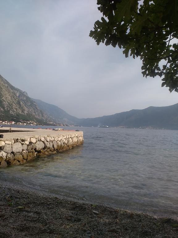 Nadja Kotor