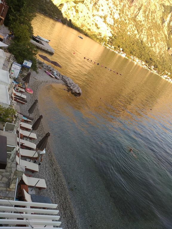 Nadja * Kotor